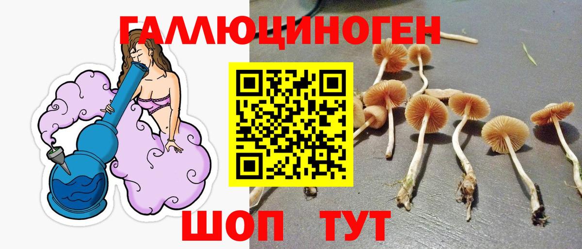 Галлюциногенные грибы прущие грибы  Вход с VPN  Псилоцибиновые грибы мицелий  Тейково 